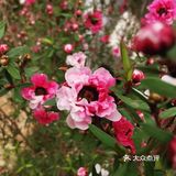 森林公园二刷