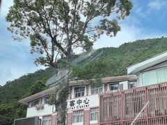 -姑婆山旅游区