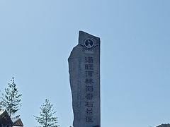 -汤旺河林海奇石景区