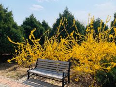 -永定河休闲森林公园