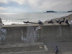 -灌篮高手动画打卡地