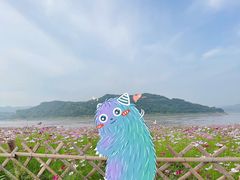 -木洞河街
