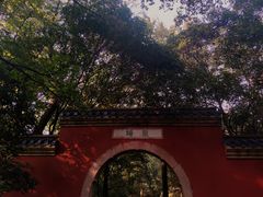 -灵谷景区