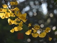 -汇龙潭
