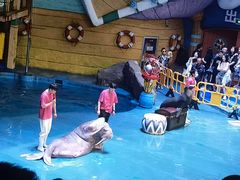 -烟台海昌鲸鲨海洋公园