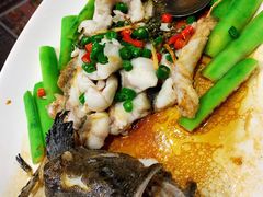 鲜花椒蒸老虎斑-猪肉婆私房菜(容桂总店)