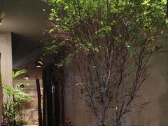 -森SPA·泰式按摩·精油Massage(宝安中心店)
