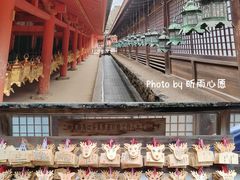 -奈良公园