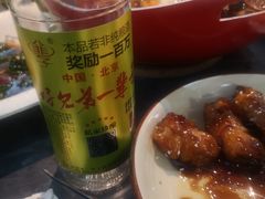 -京城·森鸽排档(双井店)