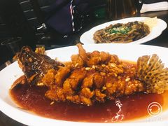 松鼠桂鱼-协和菜馆(凤凰街店)