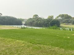 -棕榈滩海景高尔夫俱乐部