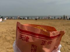 -东疆理想海岸沙滩景区