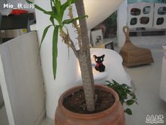 -Babycat私家御饼屋(龙头路一店)