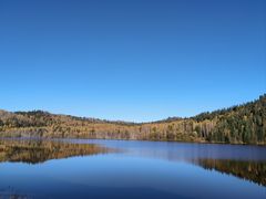 -五营红松林海景区