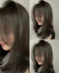 -爱维丽