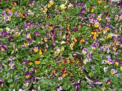 -人民公园(罗湖区)