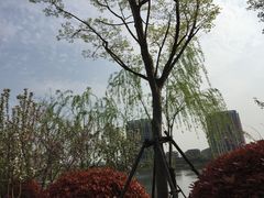 -南翔镇银翔湖公园