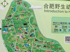 -合肥野生动物园