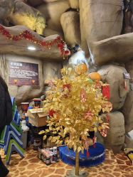 -卡通尼·Safari非洲探索乐园·生日会(金桥国际商业广场店)