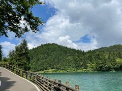 -武陵山森林公园