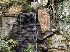 -巴倒烫陆派重庆火锅(南山店)