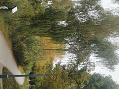 -长广溪湿地公园