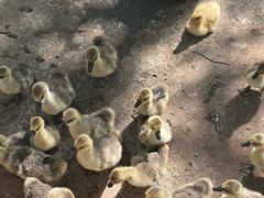 -水上乐园·欢乐世界