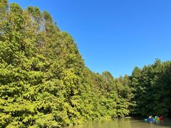 -上海海湾国家森林公园