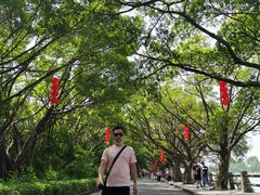 -大湾区中央湿地公园