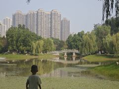 -堤角公园