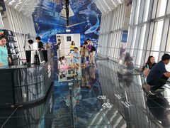 -上海环球金融中心云端足球盛典