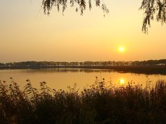 景点-野鸭湖国家湿地公园