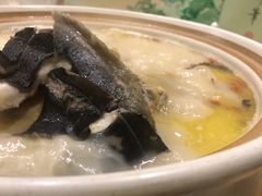 龙飞凤舞回春煲-钦善斋(武侯祠店)