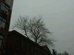 android_upload_pic-中央戏剧学院(东城校区)