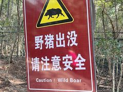-紫金山山顶公园