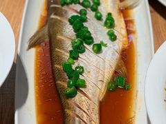 黄椒酱蒸大白鱼-连鹭海鲜·大连菜(星海店)