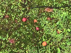 -Club Med地中海俱乐部·桂林度假村