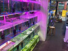 -武汉花鸟市场