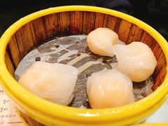 虾饺皇-双喜老铺(人民广场店)