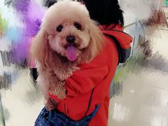 -宠颐生中康贝怡动物医院