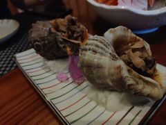 火焰海螺片-朝日屋(高新店)