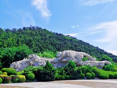 景点-大连老虎滩海洋公园