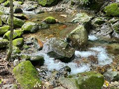 -本溪汤沟绿石谷森林公园
