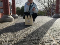 -洛阳市隋唐城遗址植物园
