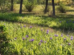 -武清南湖绿博园