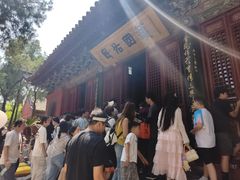 -洛阳白马寺