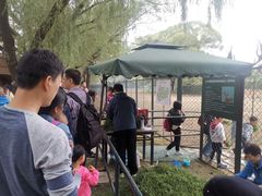 -北京麋鹿生态实验中心