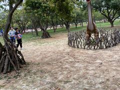 -长洲岛都市农业公园