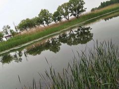 -太湖湖滨国家湿地公园-停车场
