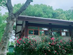 -金银湖国家城市湿地公园